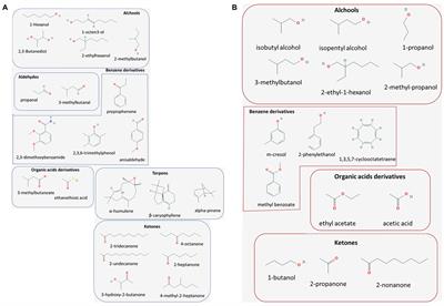 Scent of a Killer: Microbial Volatilome and Its Role in the Biological Control of Plant Pathogens